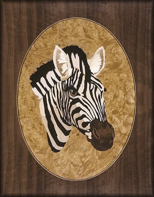 Zebra by T Tunale